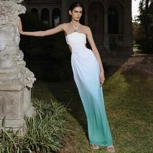 NWT BAOBAB Nao Maxi Dress